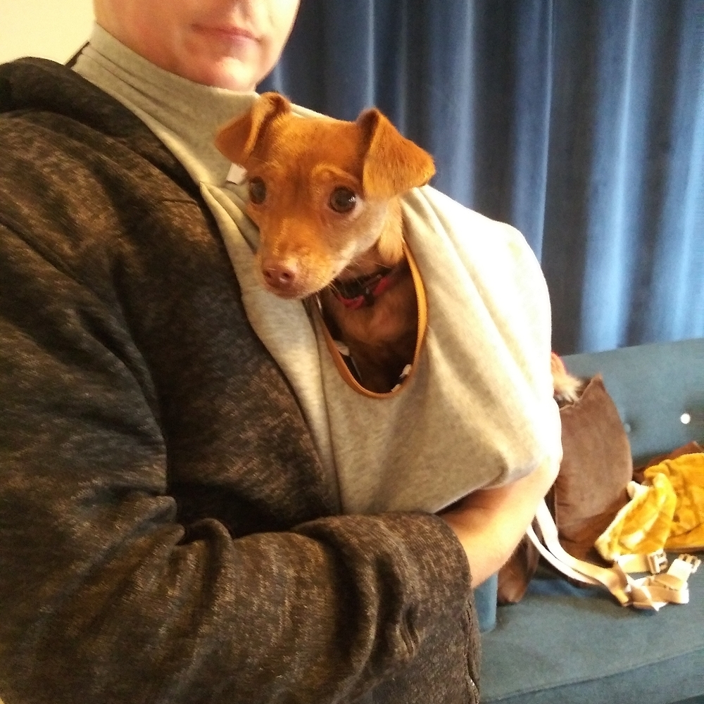 Puppy sling by Timetuu